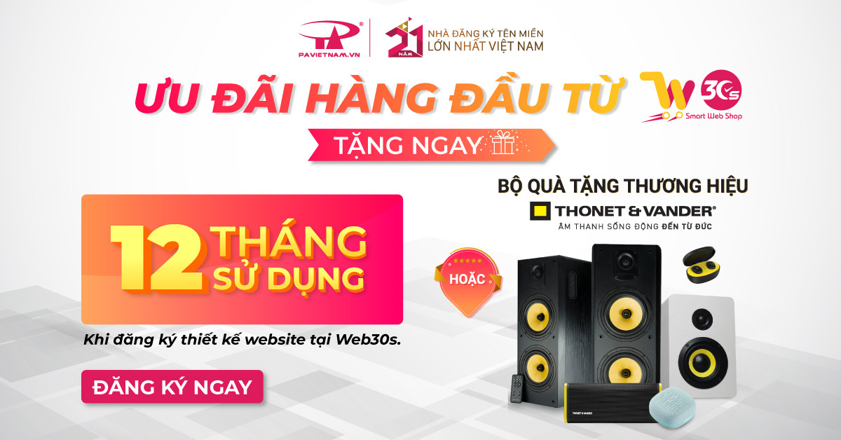 Thiết kế Website - P.A Việt Nam