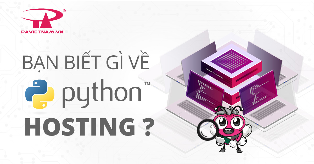 Python hosting là gì? Mua Python hosting ở đâu?